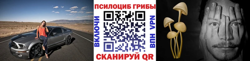 Галлюциногенные грибы Magic Shrooms  Купить  Порхов 